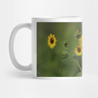 Kansas Country Wild Sunflower closeup Mug